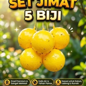 SET JIMAT